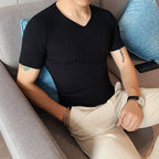 Slim Fit V-Neck Short Sleeve T-Shirt